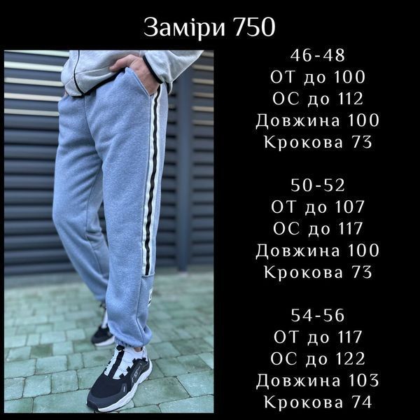 Чоловічі спортивні штани з тринитки на флісі &mdash; теплі штани вільного крою 781-750 фото